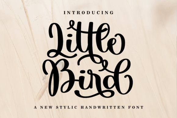 Little Bird